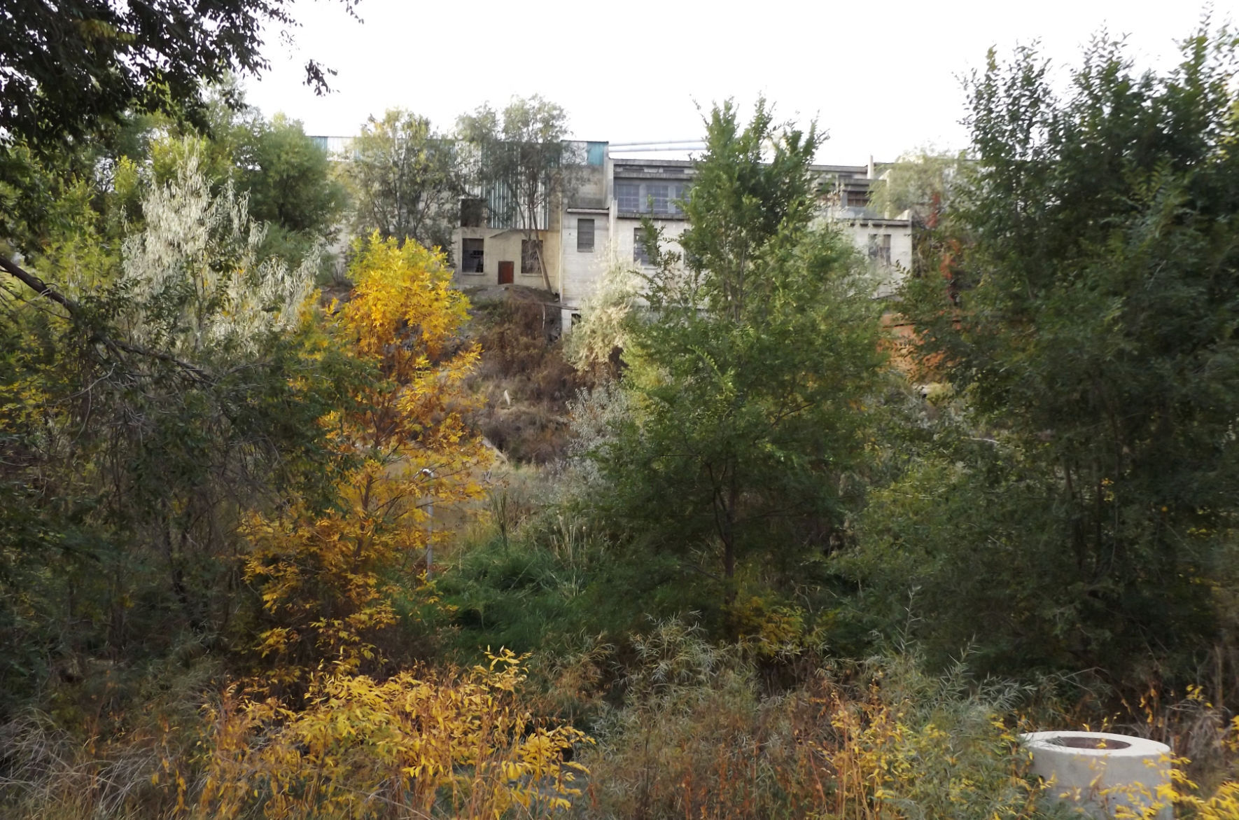 Urban Trail: Old Towne Parkway